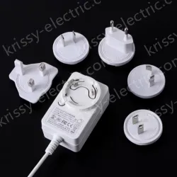 Multi-specification interchangeable pin power adapter 24V2A
