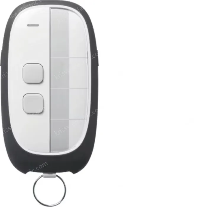 2-channel remote control