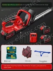 Brushless high-efficiency double-edged 10-cell 5.0Ah two batteries and one charge