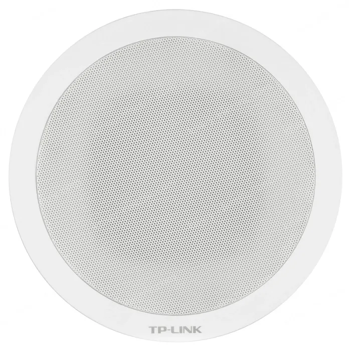 20W network ceiling speaker