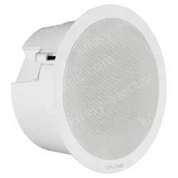 20W network ceiling speaker