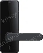 Smart door lock C89