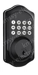 Smart door lock C88
